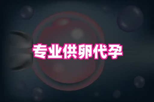 泉州助孕网 1
