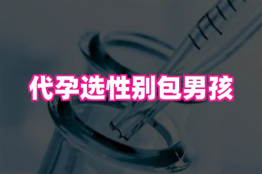 泉州助孕网 4